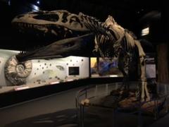 IMG_9233.HEIC