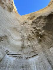 IMG_1423.HEIC
