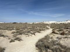 IMG_2475.HEIC