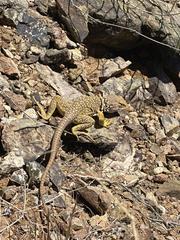 IMG_3401.heic