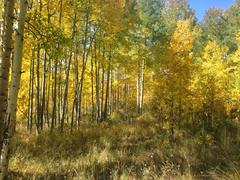 IMG_0987.JPG