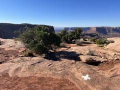 IMG_8964.HEIC