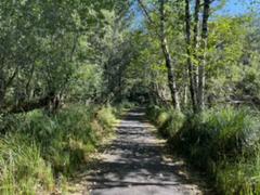 IMG_3887.HEIC