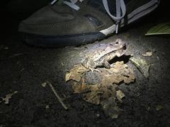 IMG_1944.JPG