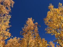 IMG_5583.HEIC