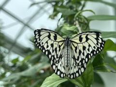 IMG_3835.HEIC