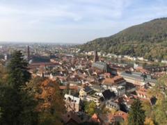 IMG_1826.HEIC