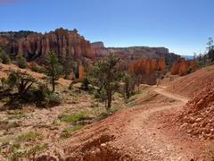 IMG_0808.HEIC