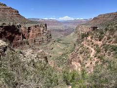 IMG_7501.HEIC
