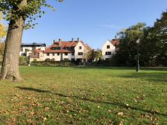 IMG_3098.HEIC