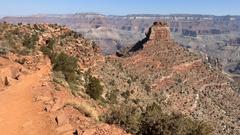 IMG_1694.HEIC