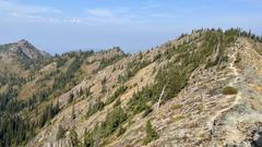 IMG_4558.HEIC