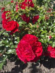 IMG_3894.HEIC