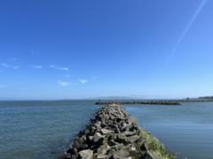 IMG_3904.HEIC