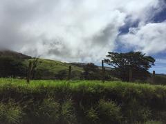 IMG_2006.JPG