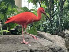 IMG_3102.HEIC