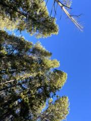 IMG_5555.HEIC