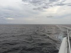 IMG_2400.JPG