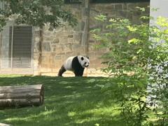 IMG_3089.HEIC