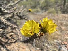 IMG_7855.HEIC