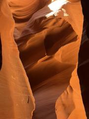 IMG_1448.HEIC