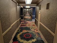 IMG_2104.HEIC
