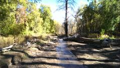 Blurred background of IMAG2382.jpg