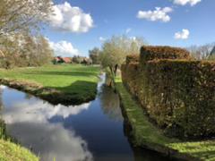 IMG_2510.HEIC