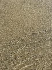 IMG_3676.HEIC