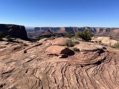 IMG_8955.HEIC