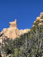 IMG_0838.HEIC