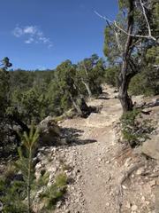 Tunnel Canyon Trail
