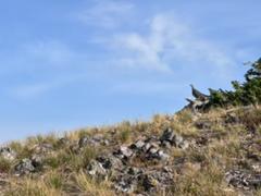 IMG_4533.HEIC