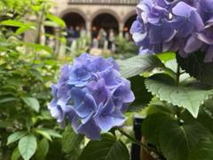 IMG_3578.HEIC