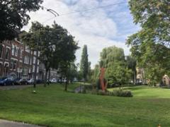 IMG_7552.HEIC
