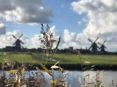 IMG_2580.HEIC