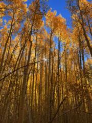 IMG_5589.HEIC