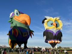 Blurred background of IMG_0091.HEIC