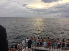 IMG_2366.JPG