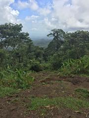 IMG_1887.JPG