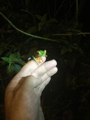IMG_1954.JPG