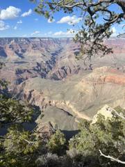 IMG_7132.HEIC