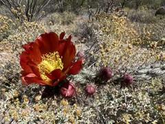 IMG_7857.HEIC