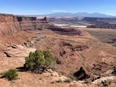 IMG_9021.HEIC