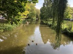 IMG_7545.HEIC