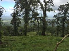 IMG_1915.JPG