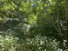 IMG_3588.HEIC
