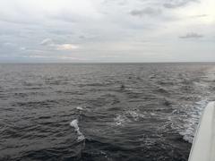 IMG_2390.JPG