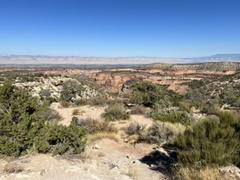 IMG_8432.HEIC