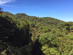 IMG_2084.JPG